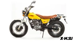 Мотоцикл MOTOLAND (МОТОЛЕНД) V-RAPTOR 250