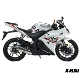 Мотоцикл MOTOLAND (МОТОЛЕНД) R1 300