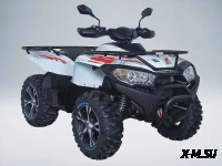 Квадроцикл Access AMX800 Long base
