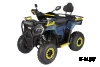 Квадроцикл Avantis Ray 200 Lux