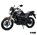 Мотоцикл MOTOLAND (МОТОЛЕНД) 300 BANDIT