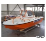Комбинированный катер WYATBOAT-430DC
