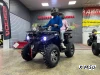 Квадроцикл PROMAX RENEGADE 280 LONG WINCH PRO (2025)