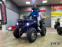 Квадроцикл PROMAX RENEGADE 280 LONG WINCH PRO (2025)