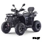 Квадроцикл бензиновый MOTAX GRIZLIK W200  LUX