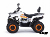 Квадроцикл MOTAX ATV Grizlik 200 Ultra