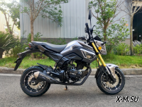 Мотоцикл PROMAX MSX150 CROM (49)