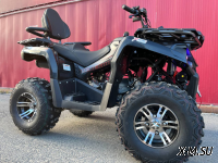 Квадроцикл PROMAX RENEGADE 280 LONG WINCH PRO (2025)