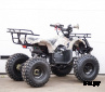 Квадроцикл STALKER 200