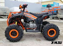 Квадроцикл IRIDE IRIDE RINO SUPER 125 3+1